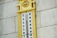 В Москве зафиксировали высокую активность пыльцы в воздухе на фоне жары