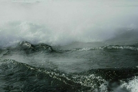 Волны цунами затронули побережье Вашингтона