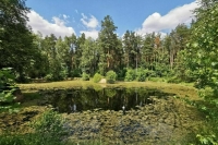 Добровольные дружины охраны природы планируют создать по всей России