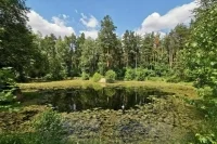 Добровольные дружины охраны природы планируют создать по всей России