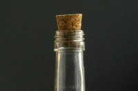 В России ввели мораторий на выдачу новых лицензий на производство алкоголя