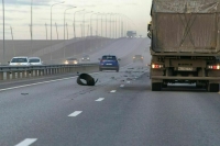 Путин подписал закон о бесплатном проезде транспорта силовиков по платным дорогам