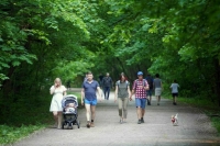 Август в центральной части России будет умеренно теплым