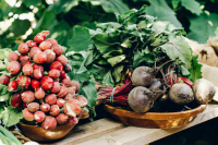 Морковь, картофель, свекла и лук за месяц подешевели на треть