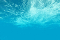 В США назвали причину крушения батискафа «Титан» в 2023 году