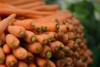 Морковь за семь месяцев подорожала на 36%