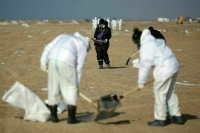 Волонтеров за уборку мазута на Кубани и в Крыму предложили дополнительно поощрить