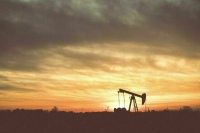 Добывавшая в России нефть ирландская PetroNeft объявила о самоликвидации