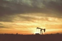 Добывавшая в России нефть ирландская PetroNeft объявила о самоликвидации