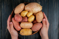 Эксперты рассказали, когда стабилизируются цены на картошку