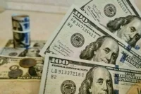Федеральному казначейству отложат передачу полномочий по валютному контролю