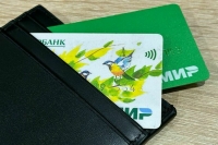 Нью-Дели и Москва обсуждают технические аспекты приема карт «Мир» в Индии