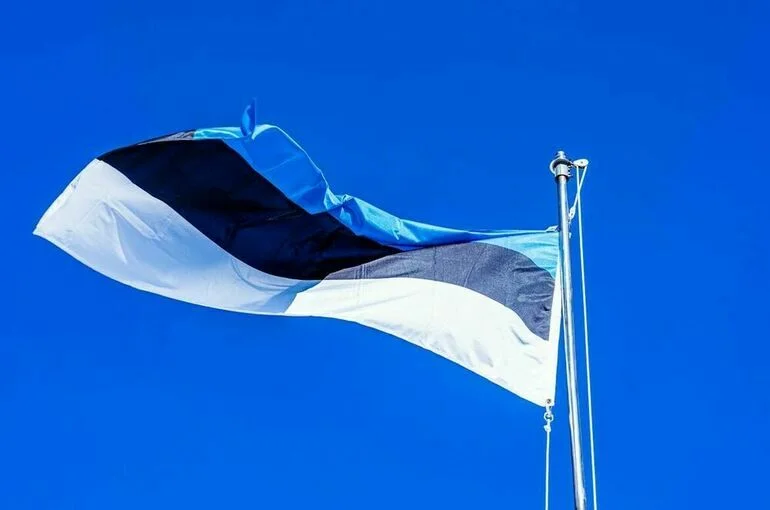 В посольстве РФ заявили о попытке Эстонии парализовать работу консульского отдела