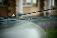 Рыболовам-любителям хотят предоставить больше мест для ловли