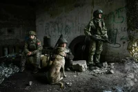 Верный друг до последнего вздоха: как собаки спасают жизни на СВО