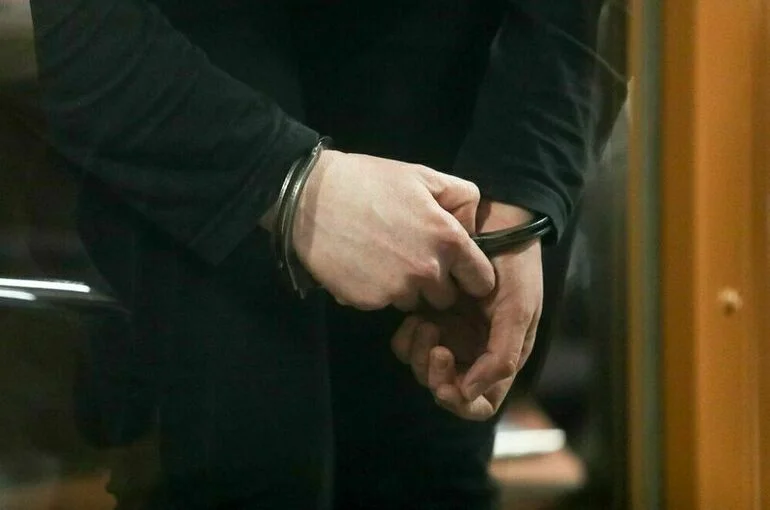 Блогера Ефремова обвинили в финансировании экстремизма