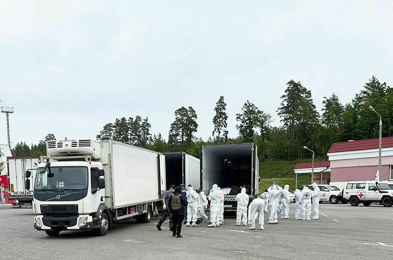 Россия передала Киеву тысячу тел погибших бойцов ВСУ