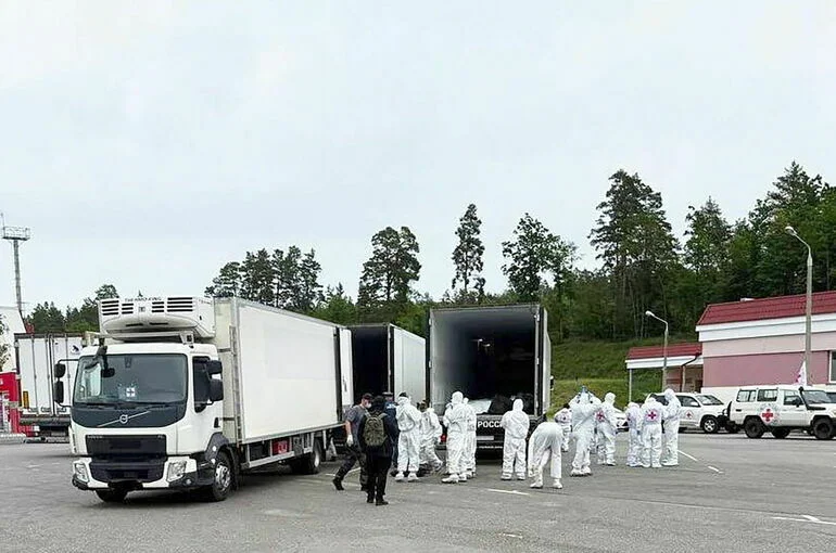 Россия передала Киеву тысячу тел погибших бойцов ВСУ
