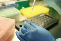 В Роспотребнадзоре назвали новую пандемию COVID-19 маловероятной