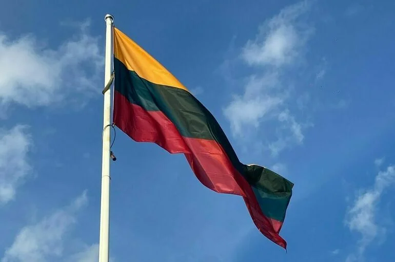 Власти Литвы допустили отправку военных на Украину