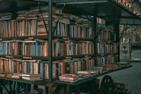 «Петербургский дневник»: «Книжные аллеи» объединят книги, музыку и живые истории