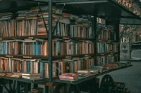 «Петербургский дневник»: «Книжные аллеи» объединят книги, музыку и живые истории