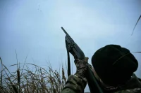 Каждый охотник желает сдать: без экзамена в лес с ружьем новичков не пустят