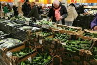 Огурцы за неделю подорожали на 7,6 процента