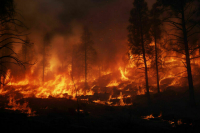 Под Геленджиком 23 туриста оказались заблокированы из-за лесного пожара