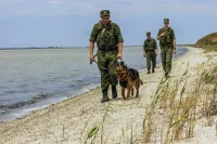 Наркотики для обучения служебных собак хотят разрешить покупать без лицензии