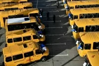 В регионах могут создать учреждения для управления школьными автобусами