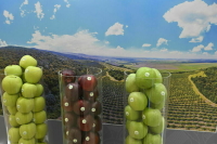 Виноделам предложили упростить перевод земель под сельский туризм