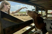 Депутат оценил инициативу по регулированию поголовья в личных подсобных хозяйствах