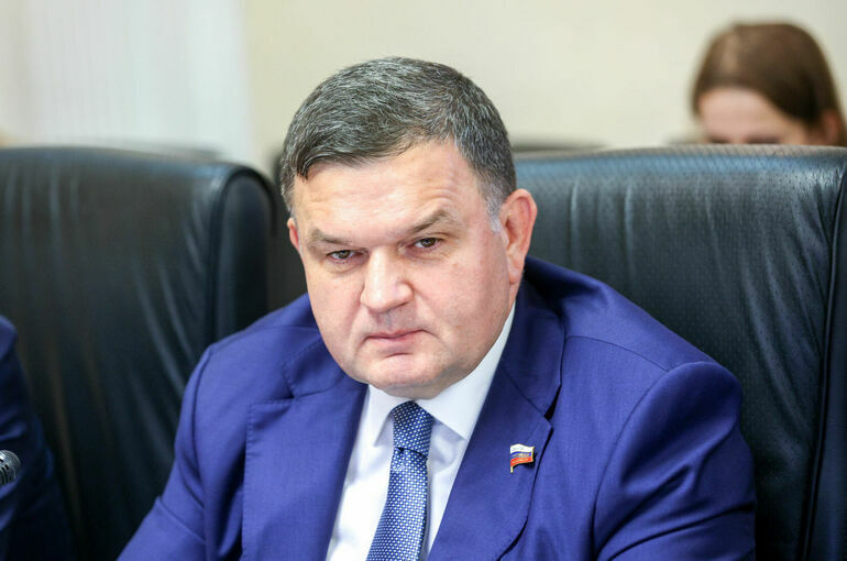 Сенатор: Политическая система России доказала свою зрелость и состоятельность