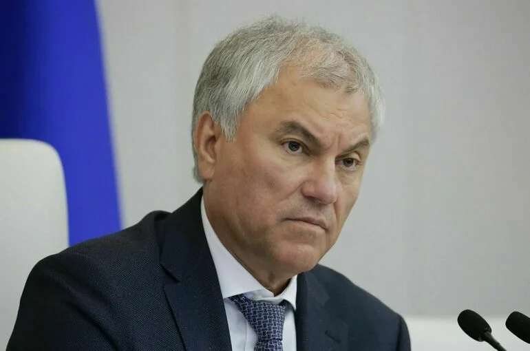 Володин: Вопросы борьбы с незаконной миграцией остаются на контроле депутатов