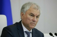Володин: Вопросы борьбы с незаконной миграцией остаются на контроле депутатов
