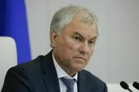 Володин: Вопросы борьбы с незаконной миграцией остаются на контроле депутатов
