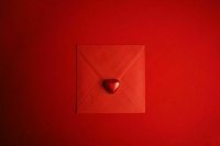 «Петербургский дневник» открыл «Донорскую почту» в рамках Всероссийской эстафеты факела «Огонь жизни»