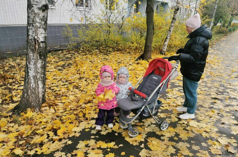 Депутат Чаплин рассказал о правах матерей-одиночек в трудовой сфере