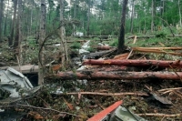 Опубликованы последние слова экипажа Ан-24 перед крушением под Тындой