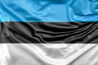 Эстония решила активировать статью 4 НАТО из-за якобы российских МиГов