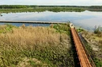 Российские леса лучше защитят от застройки