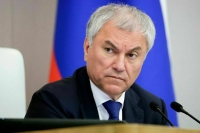 Володин встретился с губернатором Запорожской области Балицким