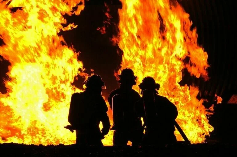 В зоопарке Новосибирска загорелись вольеры с ламами и альпаками