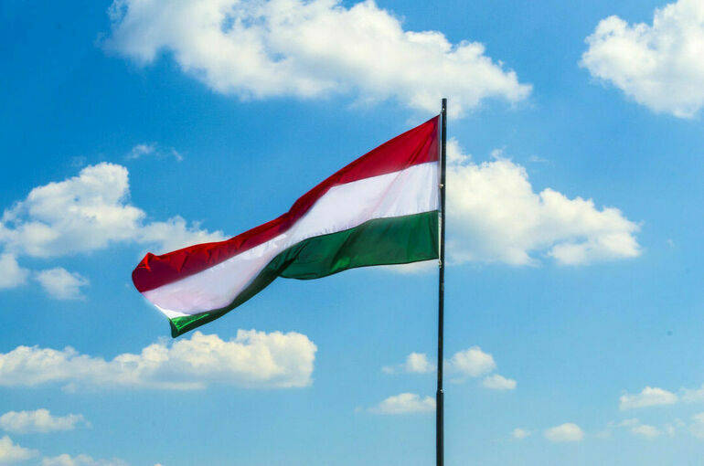 Сийярто заявил, что Венгрия не признает Палестину