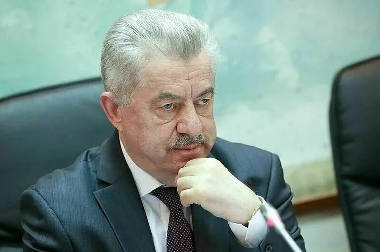 Депутат объяснил, почему некоторые западные политики хотят получить гражданство РФ