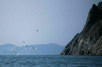 Когда Чукотка обгонит Сочи по турпотоку