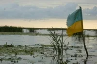 Военный эксперт назвал криком отчаяния заявление Зеленского о разрешении на удары по РФ