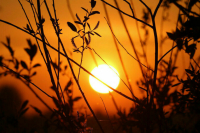 На Солнце зафиксировали мощнейшую за три месяца вспышку