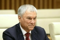 Володин: Парламентарии России и Вьетнама ищут новые форматы сотрудничества